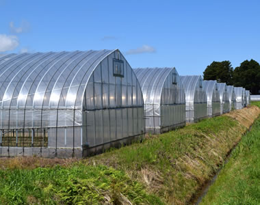 植野農園